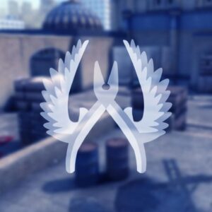 4 Medals Prime CS2 Account For Sale Buy Now